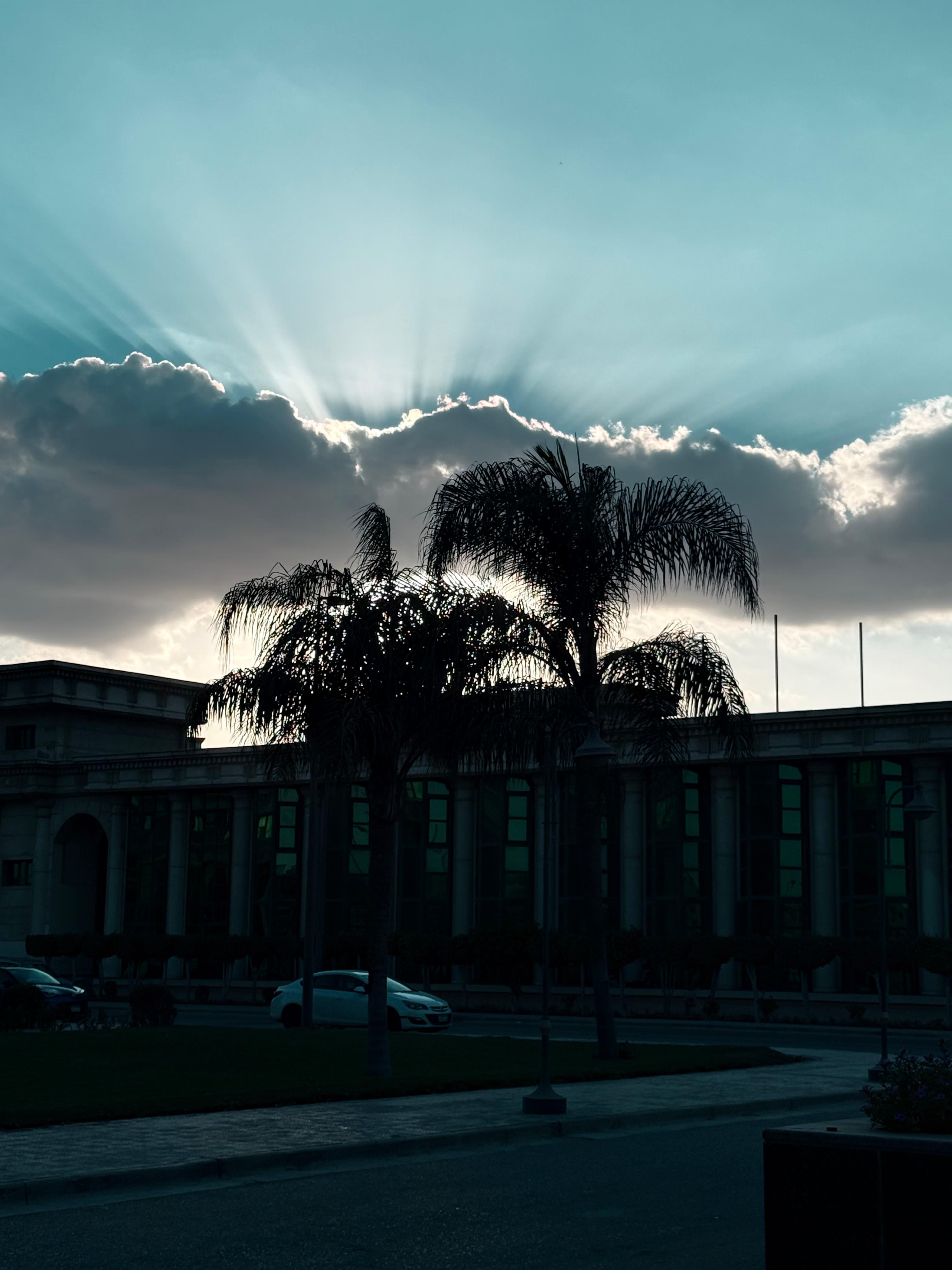 2025 Photo 2