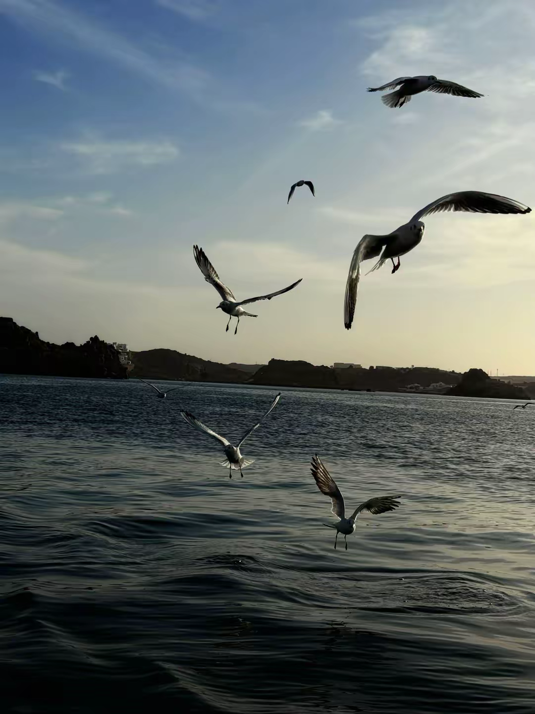 Egypt Photo 2